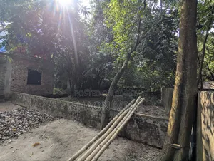 পূর্বাচলে জমি