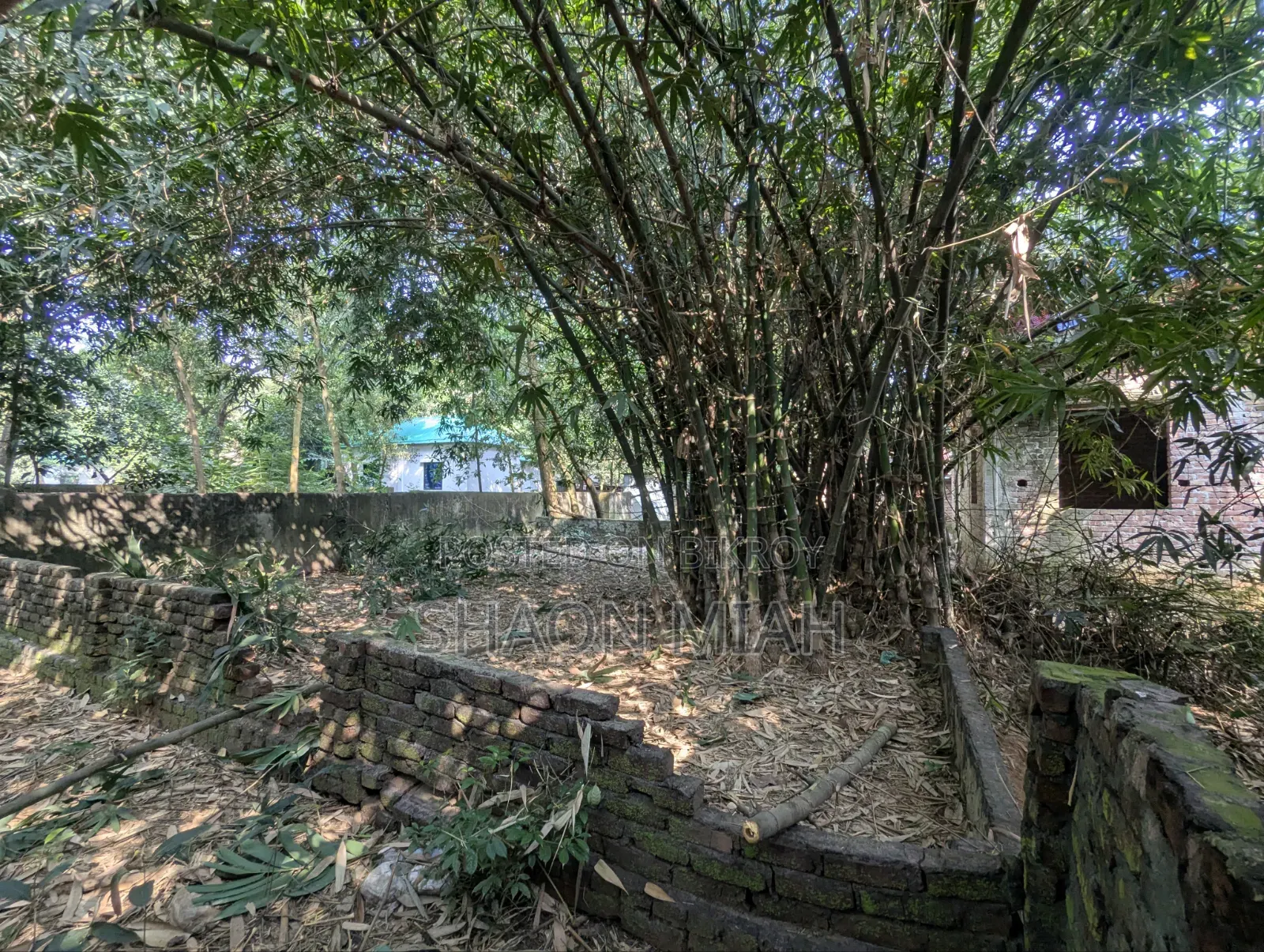 পূর্বাচলে জমি