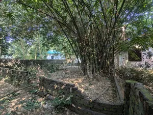 পূর্বাচলে জমি