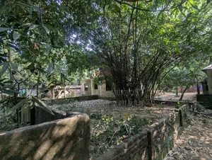 পূর্বাচলে জমি