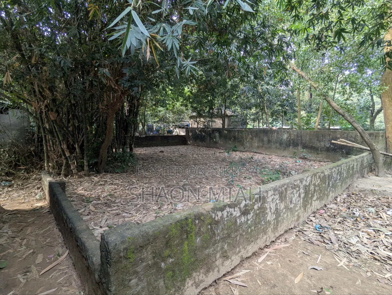 পূর্বাচলে জমি