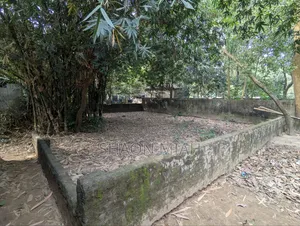 পূর্বাচলে জমি