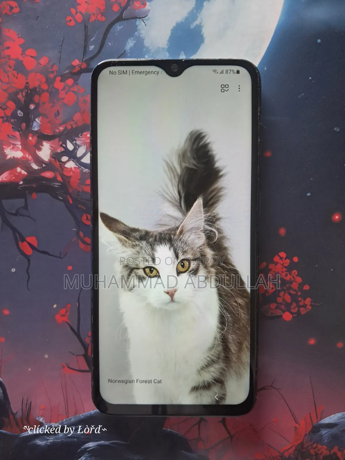 Samsung Galaxy A30 64 GB Blue