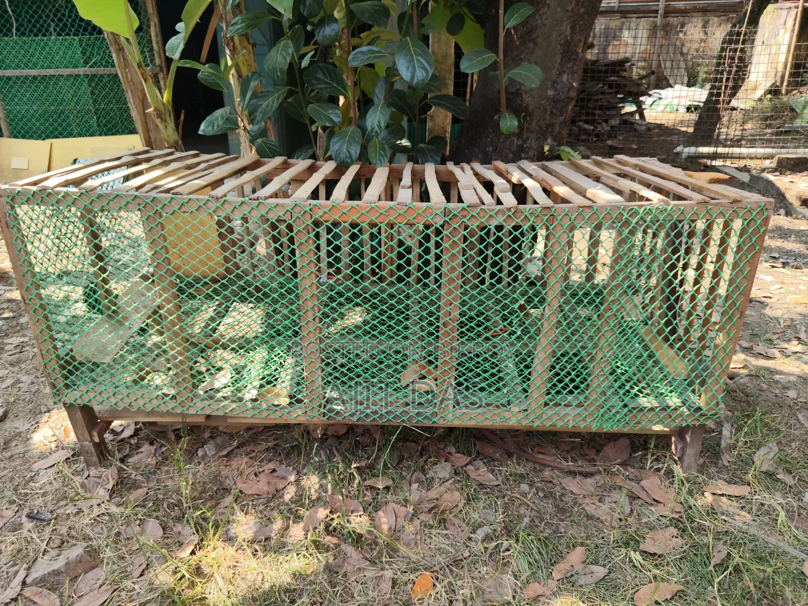 Chicken Cage for Sale