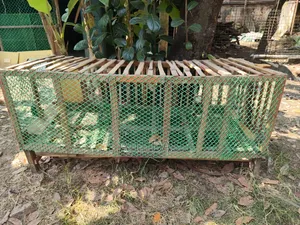 Chicken Cage for Sale