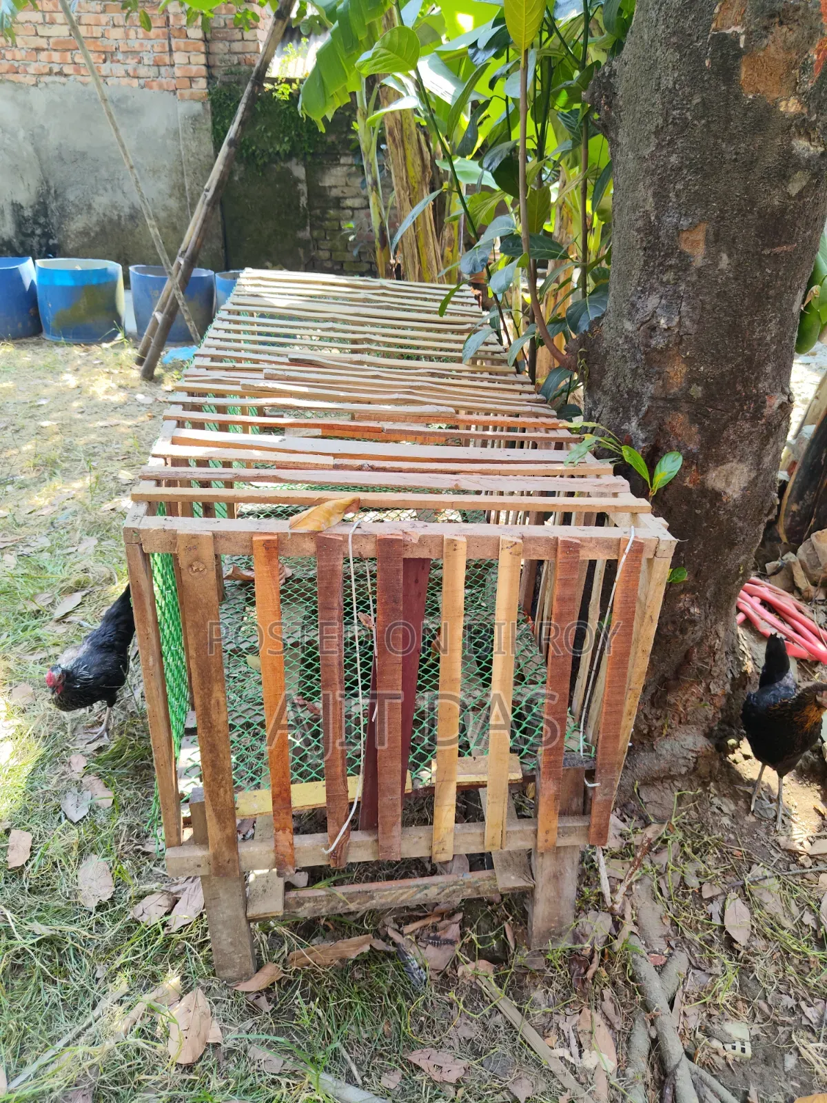 Chicken Cage for Sale