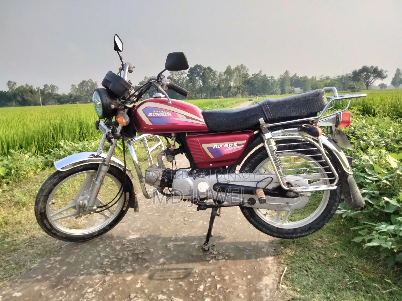Dayang DY100-A 2015 Red