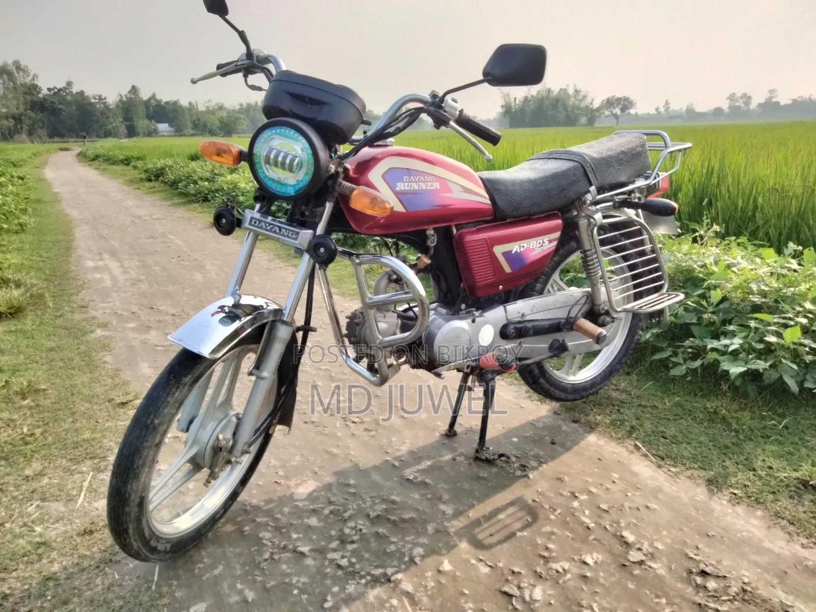 Dayang DY100-A 2015 Red