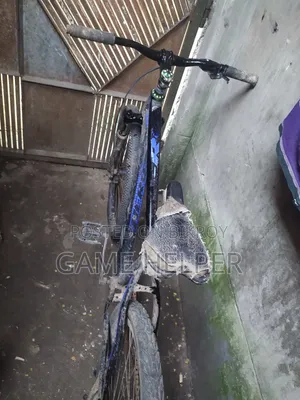 আর্জেন্ট সেল