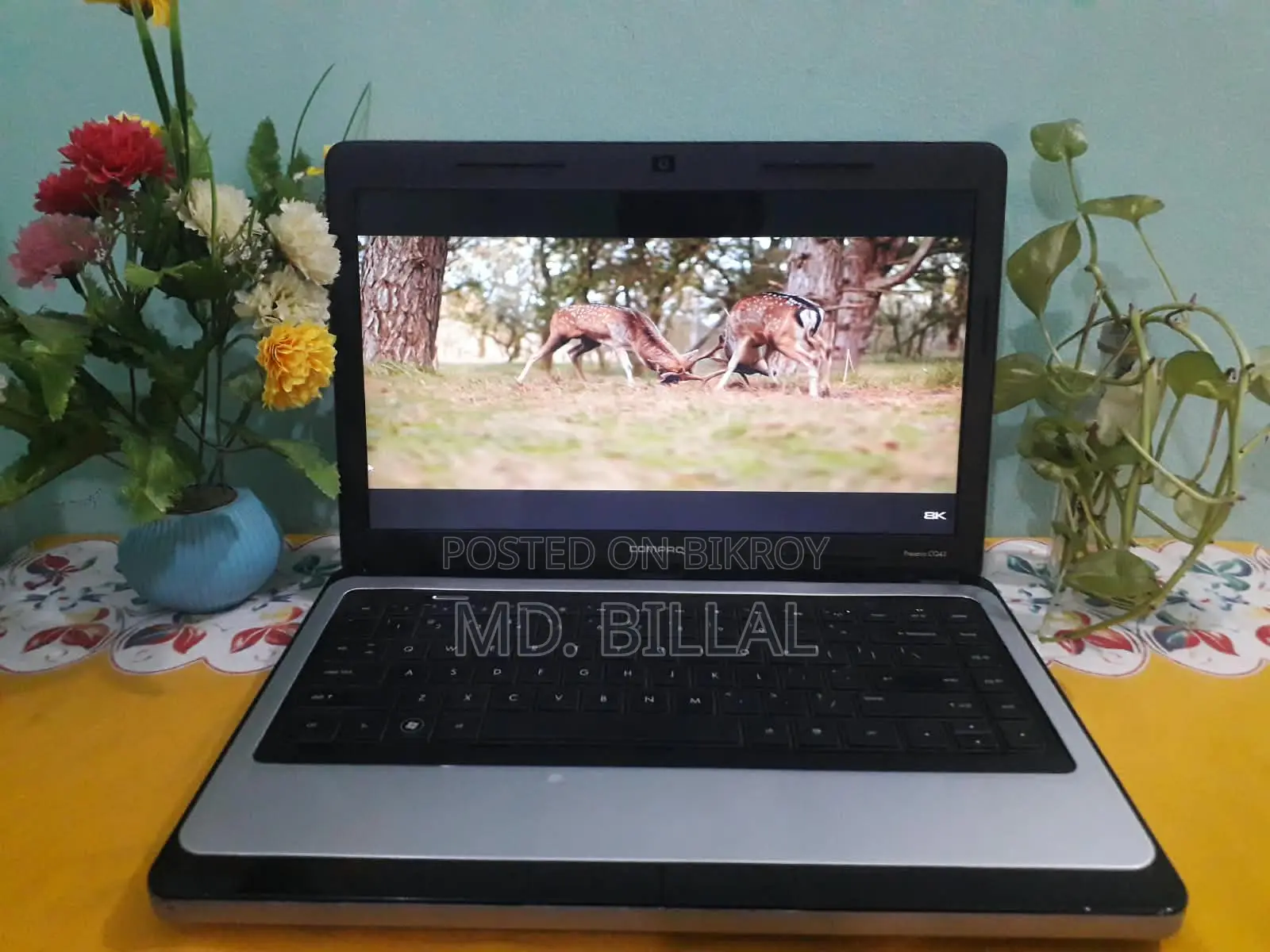 Laptop HP Compaq Presario CQ43 8GB Intel Celeron SSD 128GB