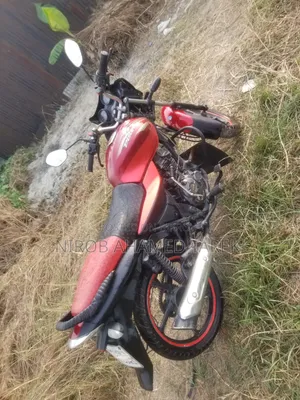 বাজাজ ডিসকভার ১০০ ২০১৩ রেড