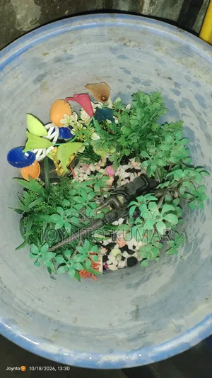 This is a fish aquarium.