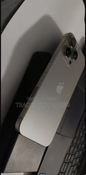 Apple iPhone 16 Pro Max 256 GB Silver