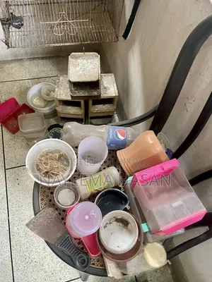 Full Bird Setup