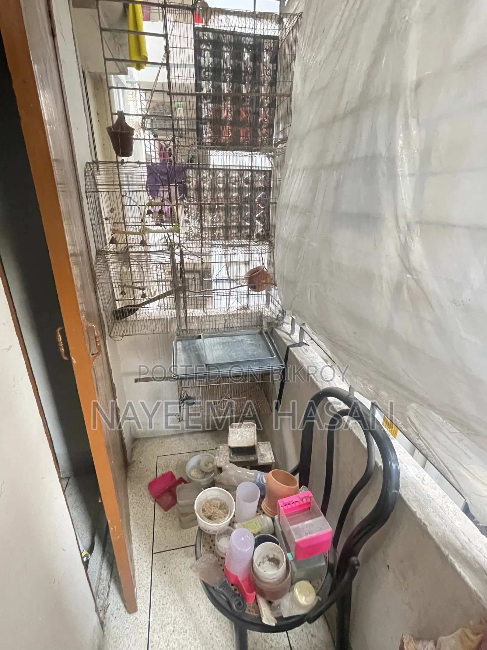 Full Bird Setup