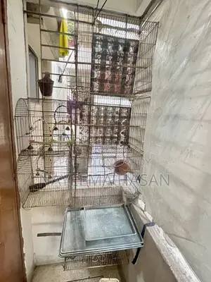 Full Bird Setup