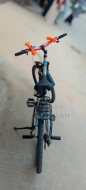 এটি একটি মডিফাইড/কাস্টমাইজড মাউন্টেন বাইক (Mtb)। এতে ফ্রন্ট সাসপেনশন