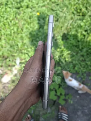 Samsung Galaxy S24 Ultra 256 GB Gray