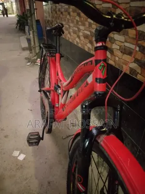 মেগনা গ্রুপ সাইকেল