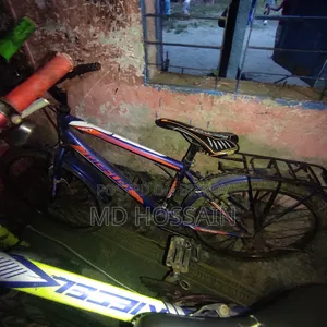 সাইকেল, ২৪ ইঞ্চি সাইকেল, নীল, বাইসাইকেল
