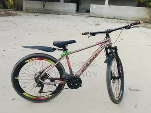 ফিনিক্স সাইকেল