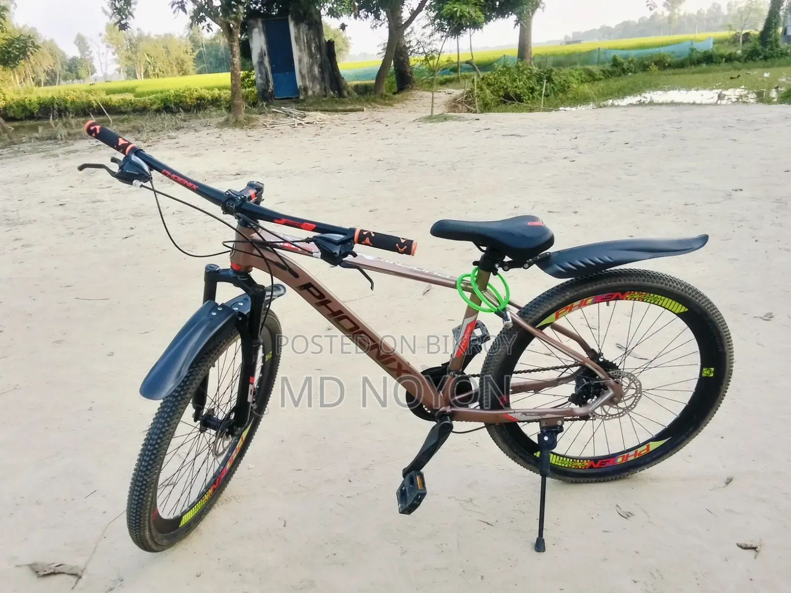 ফিনিক্স সাইকেল