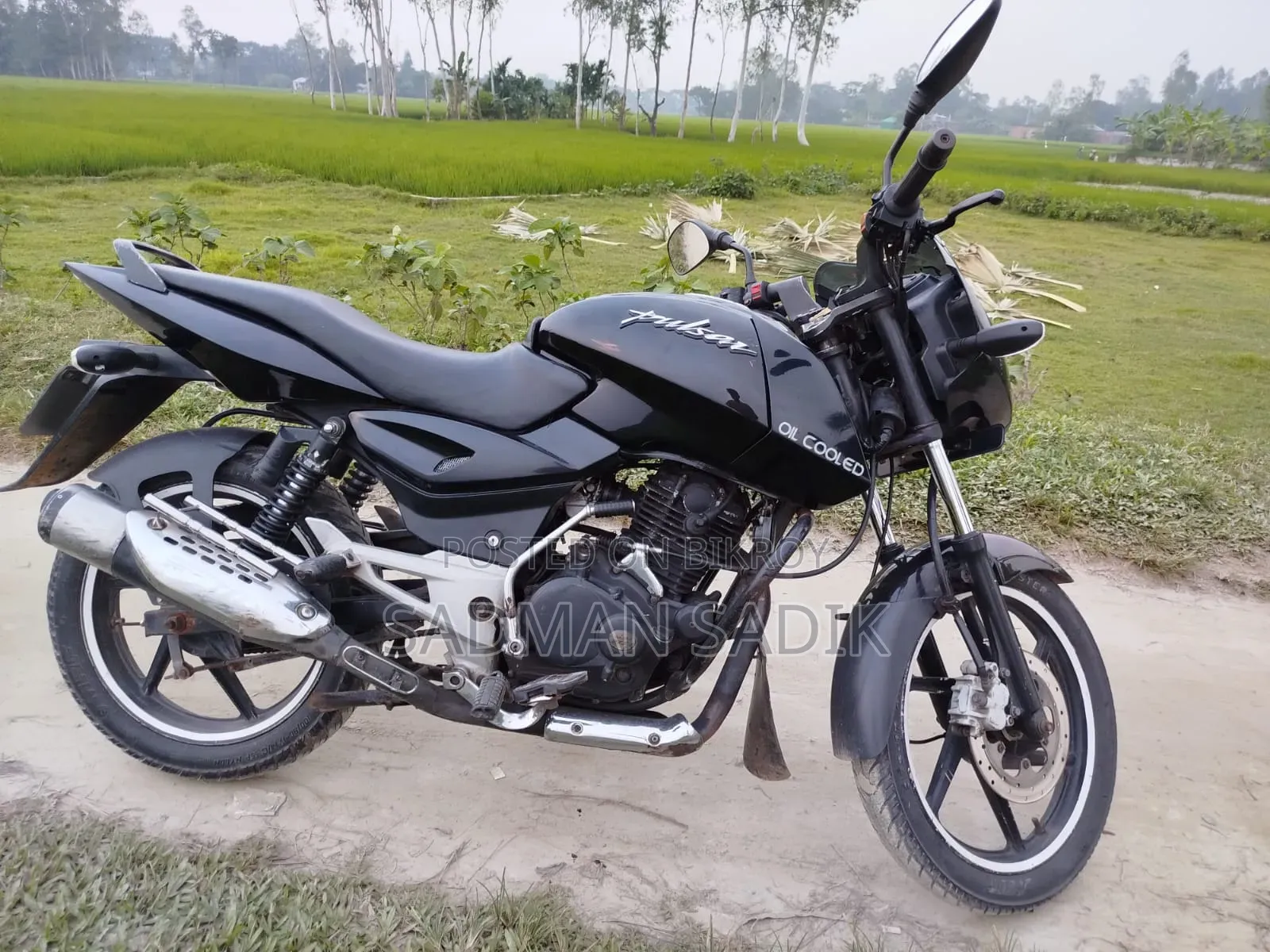 Bajaj Pulsar 150 2010 Black