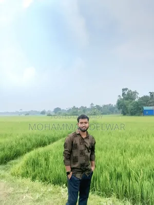 মোহাম্মদ দেলোয়ার সিকিউরিটি