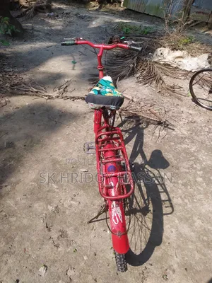 বাইসাইকেল 1