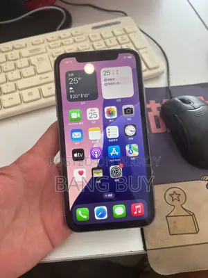 অ্যাপল আইফোন ১১ ৬৪ জিবি পার্পল