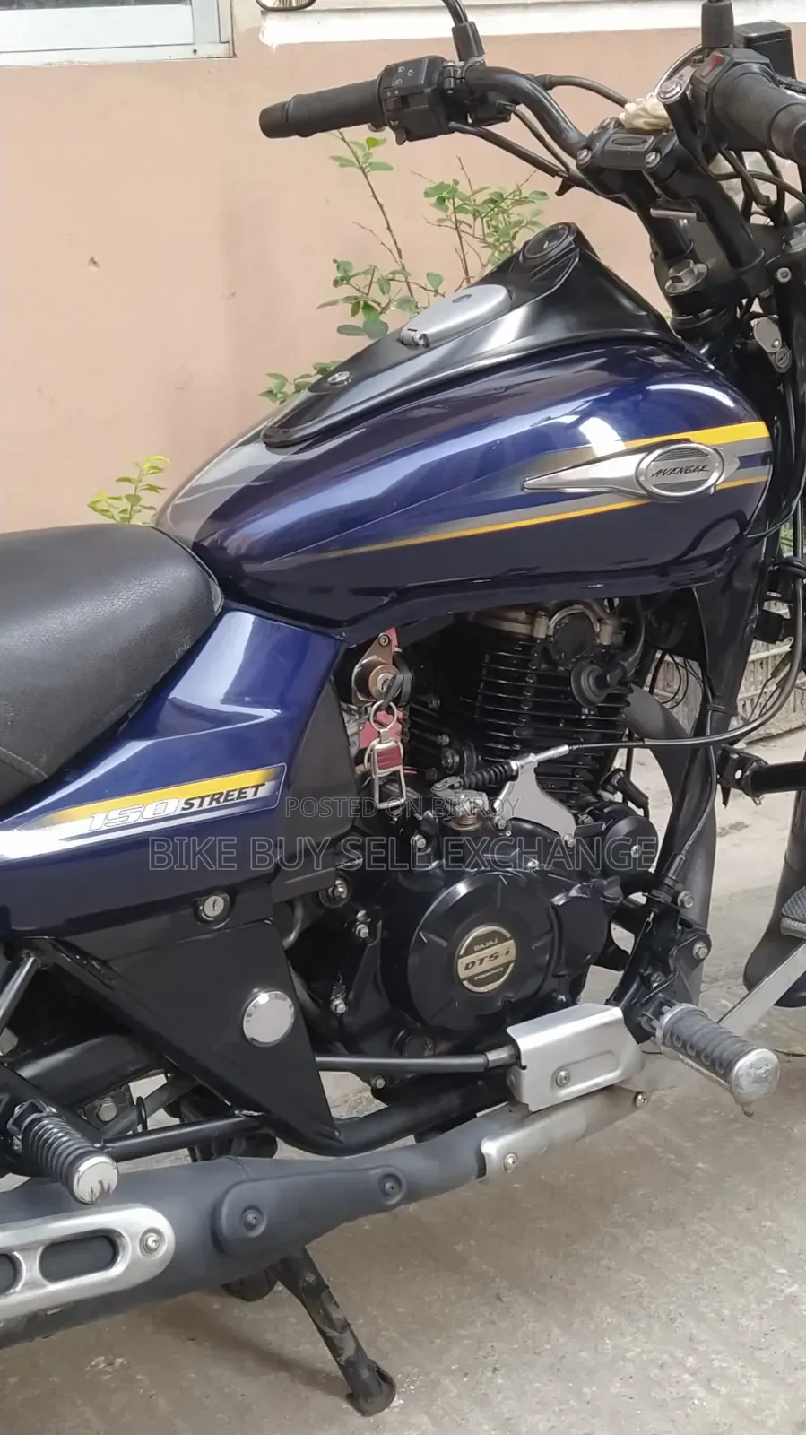 Bajaj Avenger 150 Street 2019 Blue