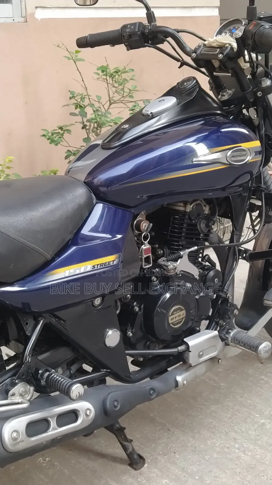 Bajaj Avenger 150 Street 2019 Blue