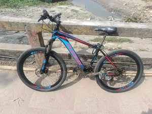 ফিনিক্স সাইকেল