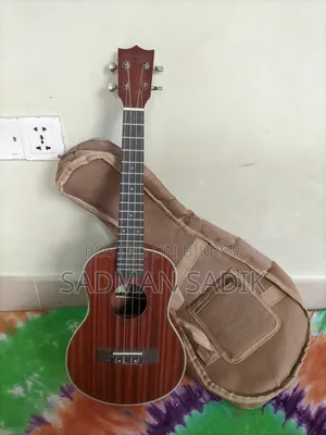 Musical Instrument