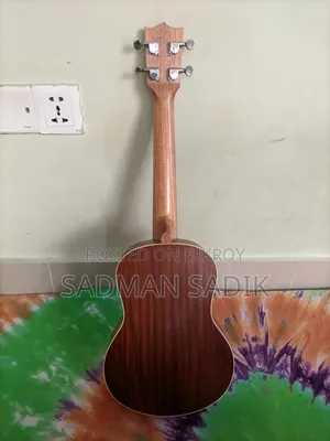 Musical Instrument
