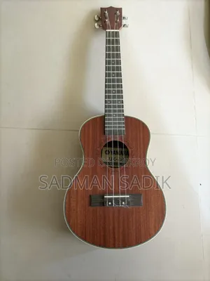 Musical Instrument