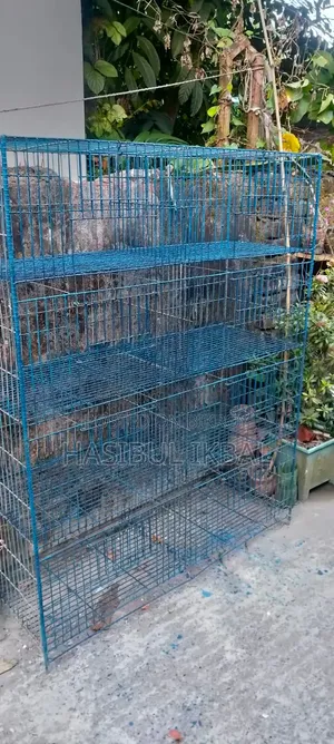 Quail Bird Cage