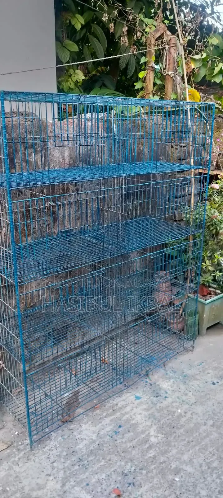 Quail Bird Cage