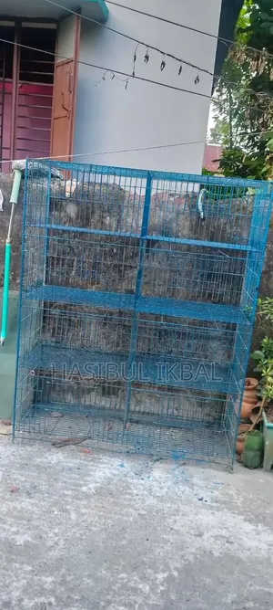 Quail Bird Cage