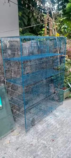 Quail Bird Cage