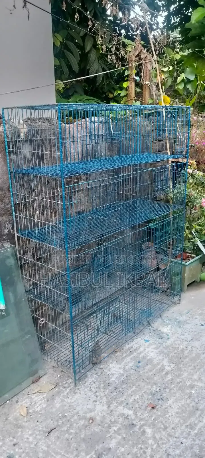 Quail Bird Cage