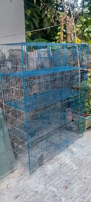 Quail Bird Cage