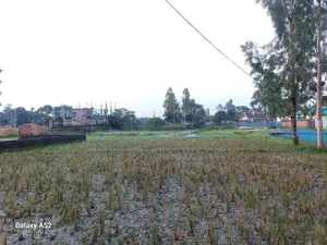 ৪ শতক জমি বিক্রয় হবে!