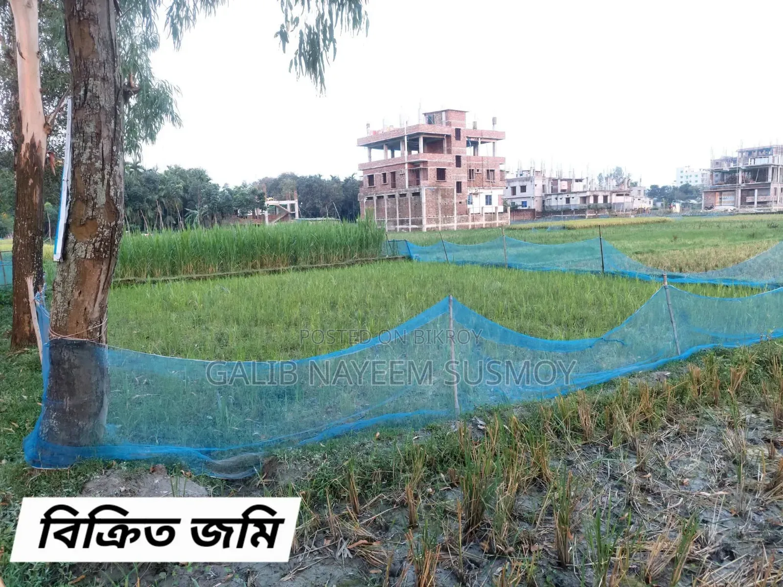 ৪ শতক জমি বিক্রয় হবে!
