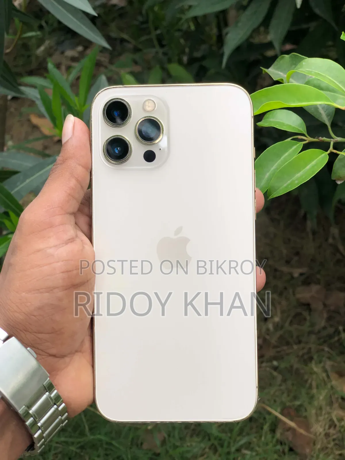 Apple iPhone 12 Pro Max 256 GB Gold