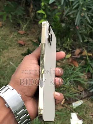 Apple iPhone 12 Pro Max 256 GB Gold