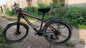 ফোনিক্স গিয়ার সাইকেল