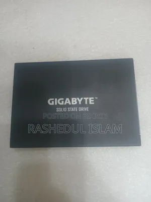 গিগাবাইট ২৫৬ জিবি সাটা এসএসডি