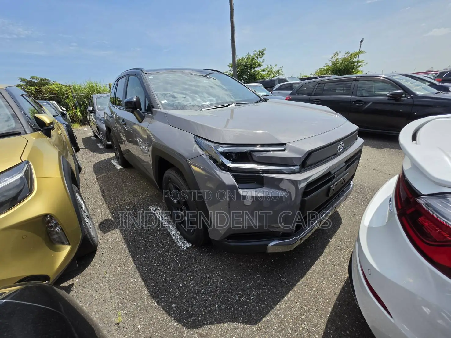 New Toyota RAV4 2026 Gray