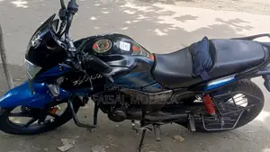 হিরো হাঙ্ক ২০২৪ ব্লু